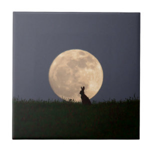 Moongazer.JPG Fliese