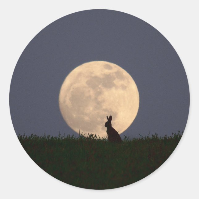 Moongazer.JPG Runder Aufkleber (Vorderseite)