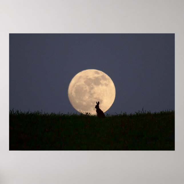 Moongazer Poster (Vorne)