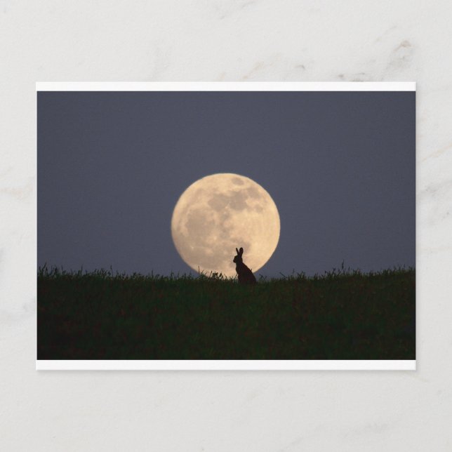 Moongazer Postkarte (Vorderseite)