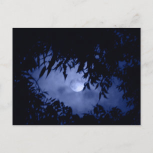 Moonglow Postkarte