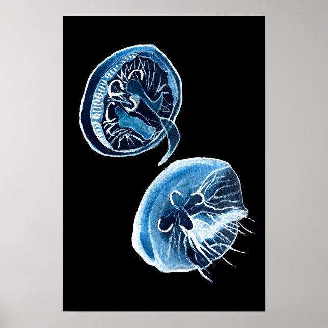 MoonJellyfish Aquarellkunst Poster (Vorne)