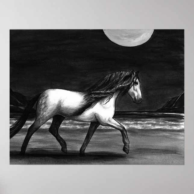 Moonlight Andalution Poster (Vorne)