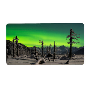 Moonlight Aurora