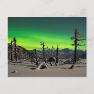 Moonlight Aurora Postkarte