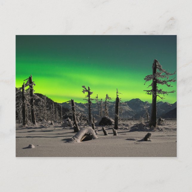 Moonlight Aurora Postkarte (Vorderseite)