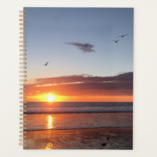 Moonlight Beach Sunset Planer (Vorderseite)