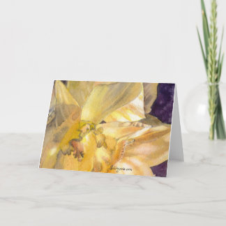 Moonlight Daffodis Gruß und Mitteilungskarten