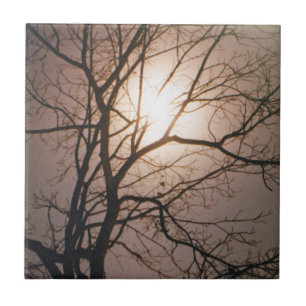 Moonlight Dream Fliese