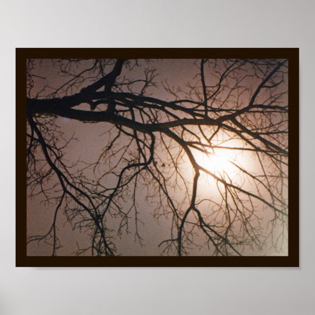 Moonlight Dream Poster (Vorne)