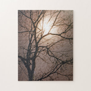 Moonlight Dream Puzzle