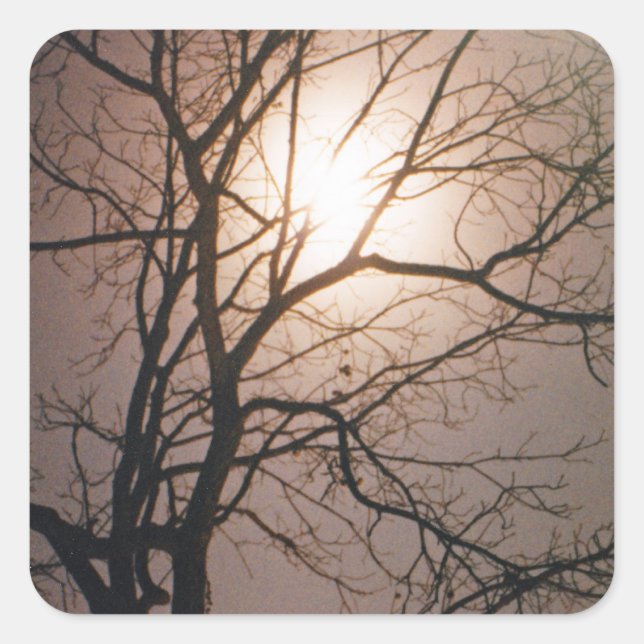 Moonlight Dream Quadratischer Aufkleber (Vorderseite)