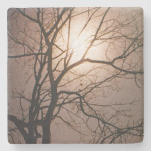 Moonlight Dream Steinuntersetzer
