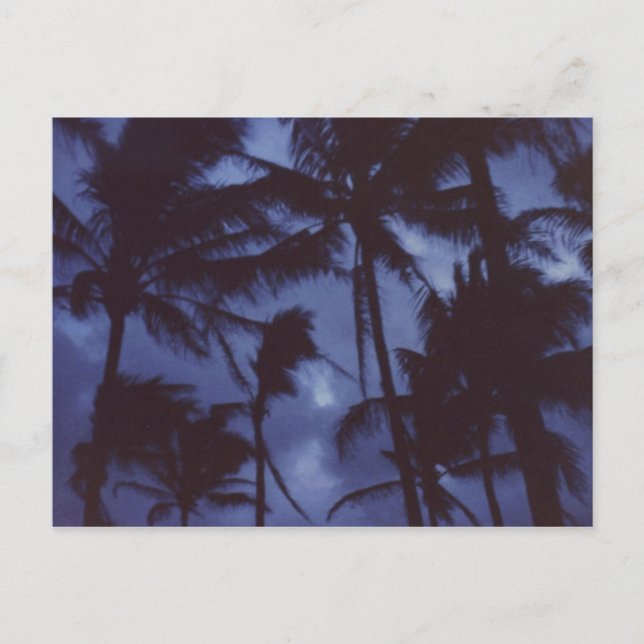 Moonlight PalmTrees Postcard Postkarte (Vorderseite)