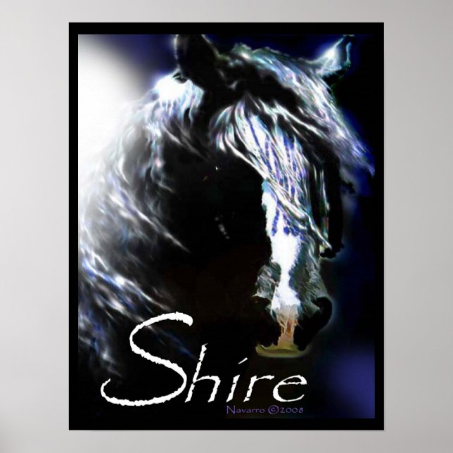 MOONLIGHT SHIRE Poster (Vorne)