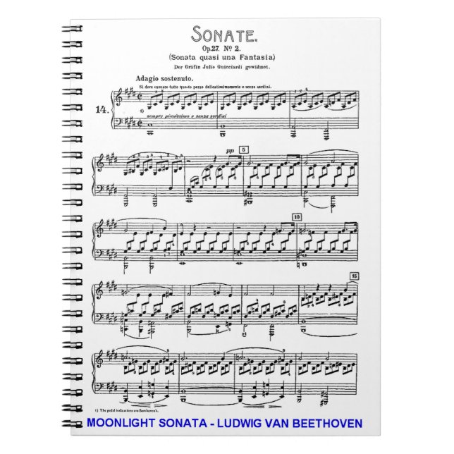 Moonlight-Sonata-Ludwig-Beethoven Notizblock (Vorderseite)