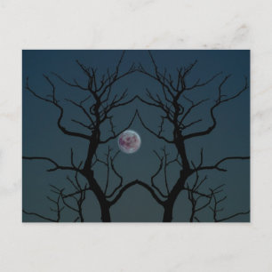 Moonlight Tree Silhouette Postkarte