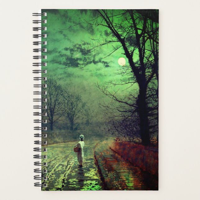 Moonlight Walk  Planer (Vorderseite)