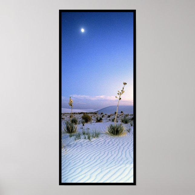 Moonlight Yucca Panorama Poster (Vorne)