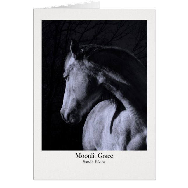 Moonlit Anmut (Vorne)