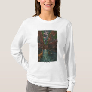 Moonlit Ansicht des Gerinnes T-Shirt