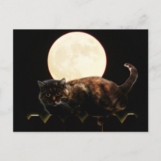 Moonlit Katze auf einem Zaun mit Vollmond Postkarte (Vorderseite)