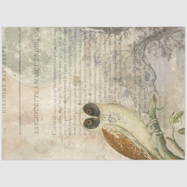 Moonlit Owl Decoupage Tissue Paper Seidenpapier (Vorderseite)