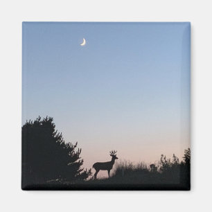 Moonrise-Magie-Magnet Magnet