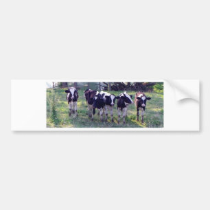 Moooooo Autoaufkleber