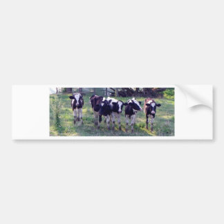 Moooooo Autoaufkleber