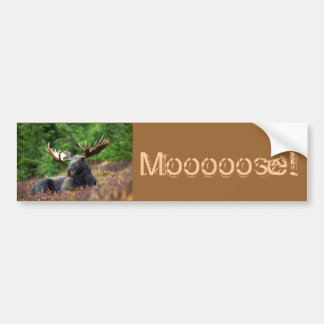 Moooose! Autoaufkleber