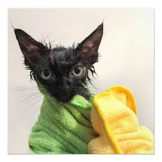 Moop, nach dem Baden Fotodruck (Vorne)