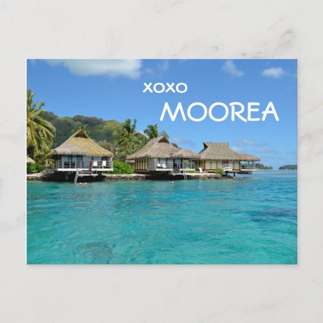 Moorea bungalows with text: 'xoxo Moorea' postcard Postkarte (Vorderseite)