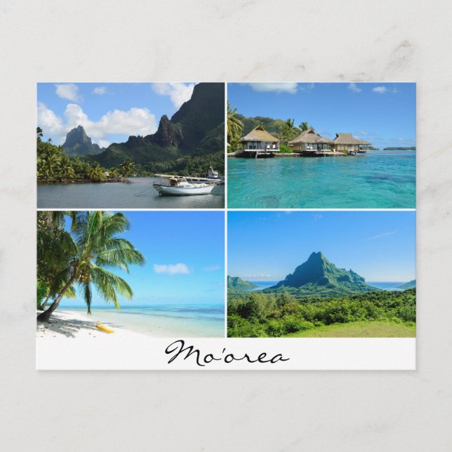 Moorea-Landschaften sammeln Text auf Postkarte (Vorderseite)