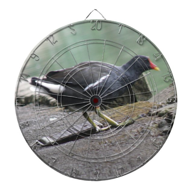 Moorhen Dart Board Dartscheibe (vorne)