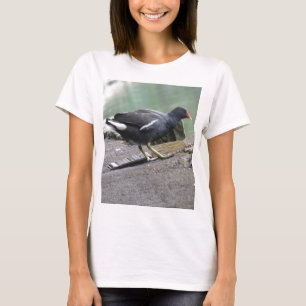 Moorhen Ladys T Shirt