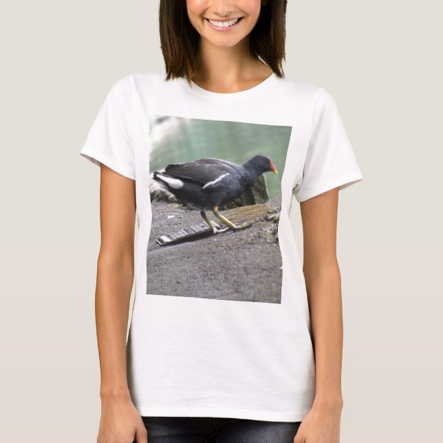Moorhen Ladys T Shirt (Vorderseite)