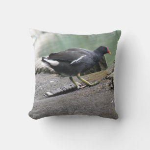 Moorhen Pillow Kissen