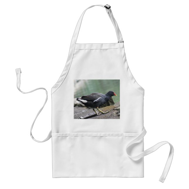 Moorhen-Schürze Schürze (Vorne)