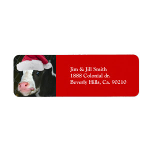 Moory Cow Christmas