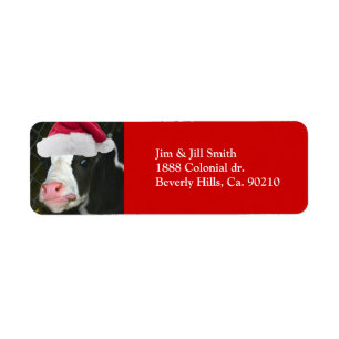 Moory Kuh-Weihnachten