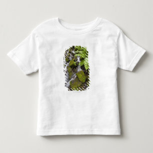 Moos bedeckte Felsen mit unscharfem Wasser und Kleinkind T-shirt