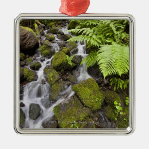 Moos bedeckte Felsen mit unscharfem Wasser und Silbernes Ornament