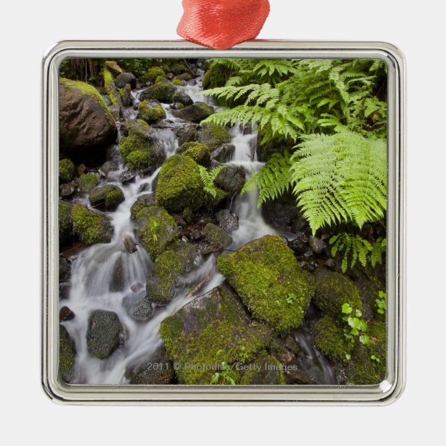 Moos bedeckte Felsen mit unscharfem Wasser und Silbernes Ornament (Vorne)