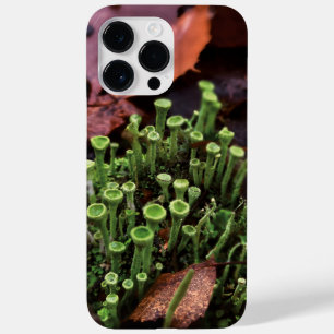 Moos Case-Mate iPhone 14 Pro Max Hülle