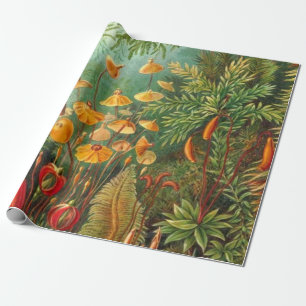 Moos - Ernst Haeckel Geschenkpapier