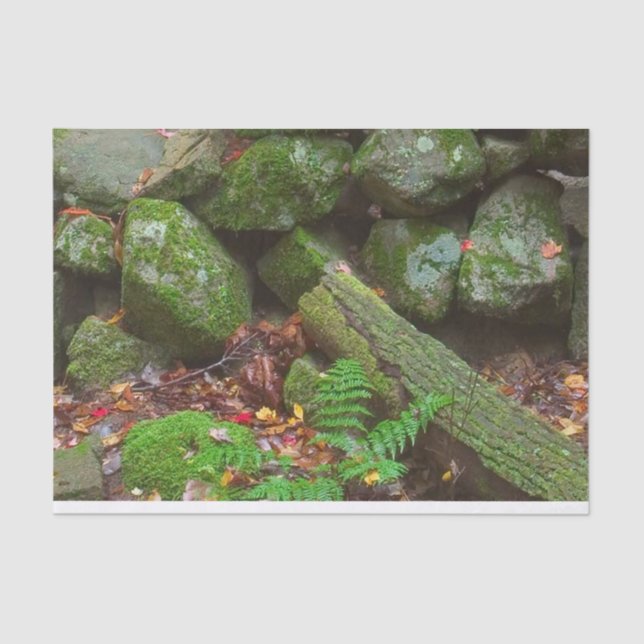 Moos im Wald Seidenpapier (Vorderseite)