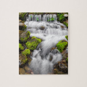 Moos um Fern Spring Puzzle