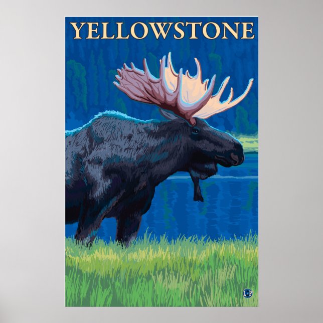 Moose at Night - Yellowstone Nationalpark Poster (Vorne)
