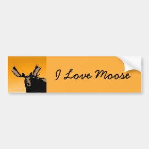 Moose at Sunset - Original Wildlife Art Autoaufkleber